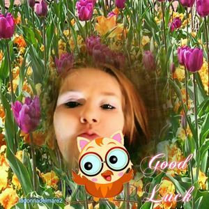 Meet your Posher, Brandy